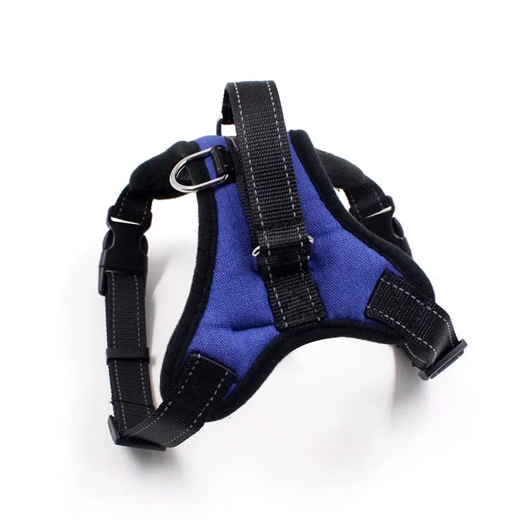 Blue nylon dog chest harness with reflective strips and sponge cushion on a small dog model