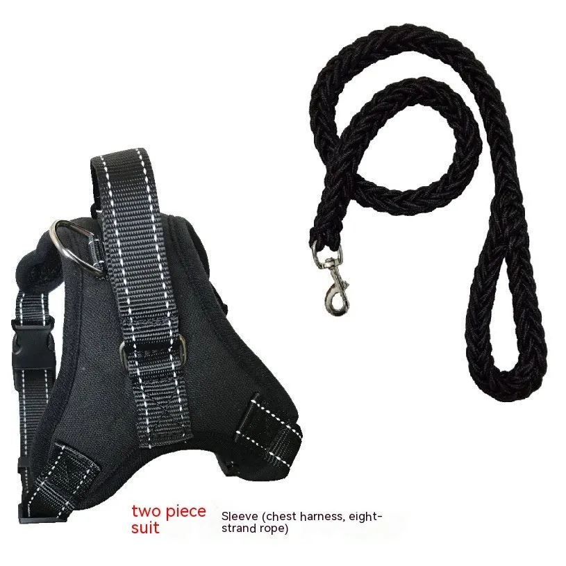 Blue nylon dog chest harness with reflective strips and sponge cushion on a small dog model