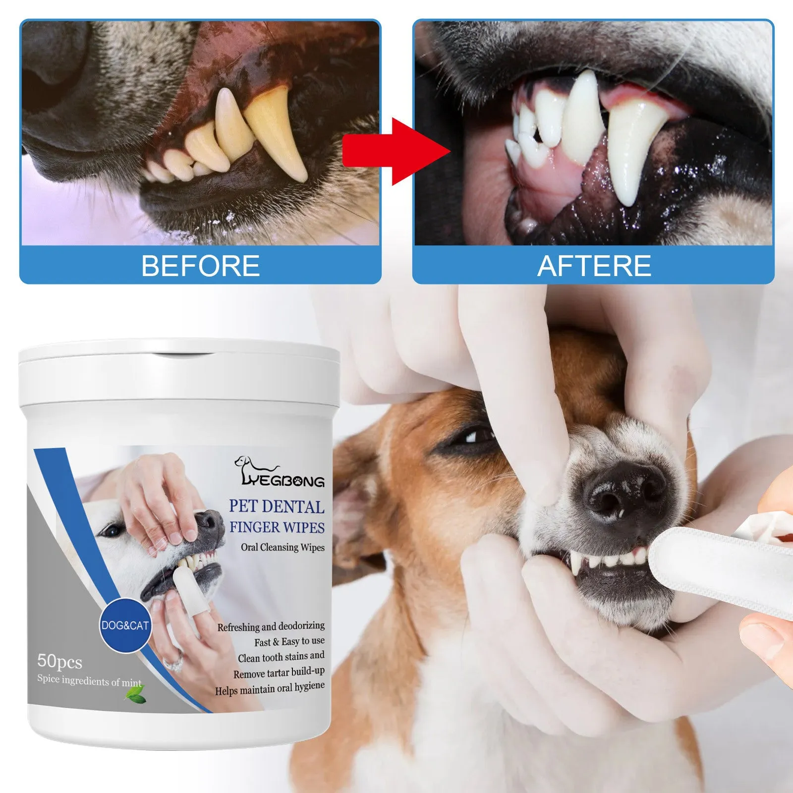 Can of 50 pet teeth cleaning finger wipes with finger stall for dog dental care
