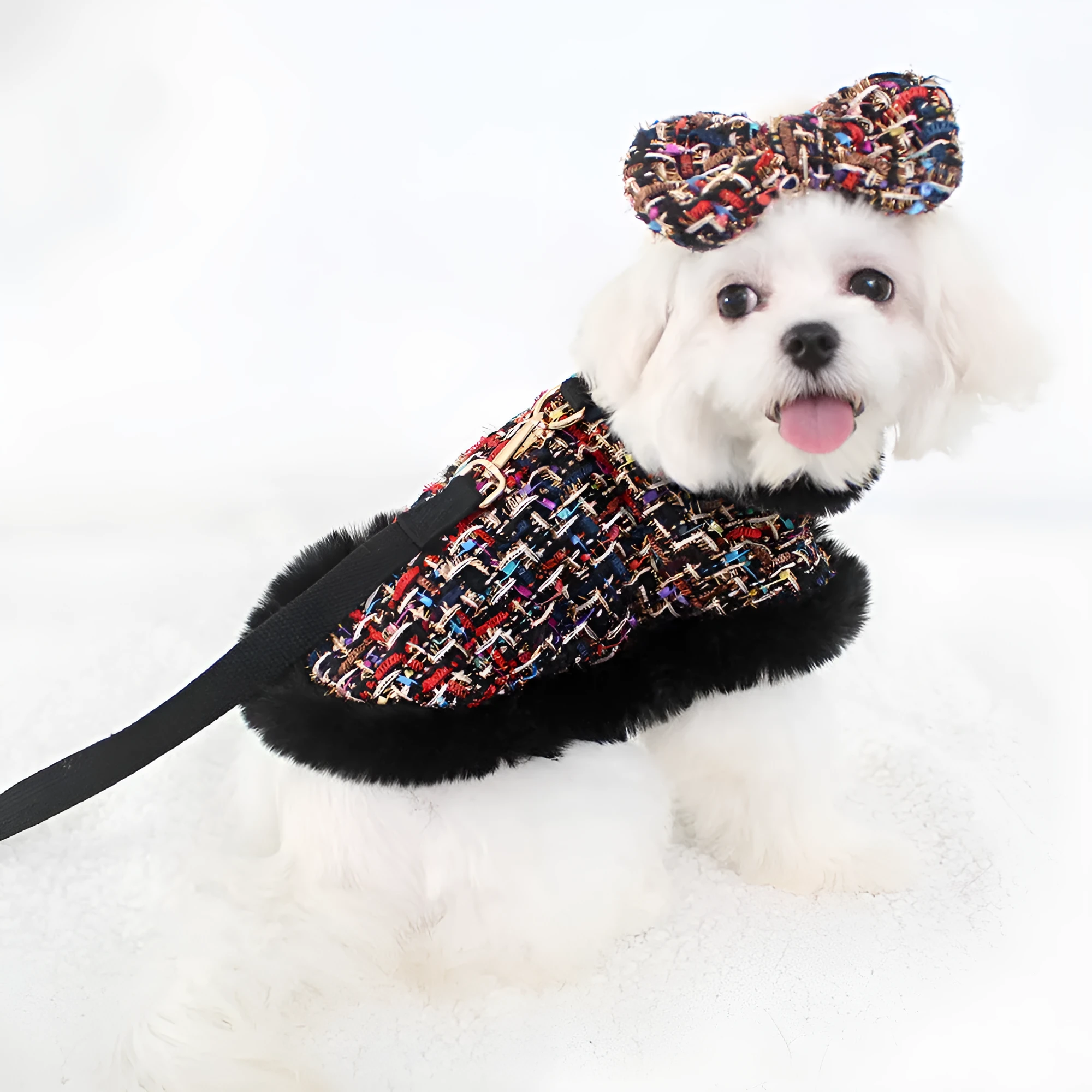 A dog wearing a classic cloth cloak attached to a chest strap with a hand holding rope