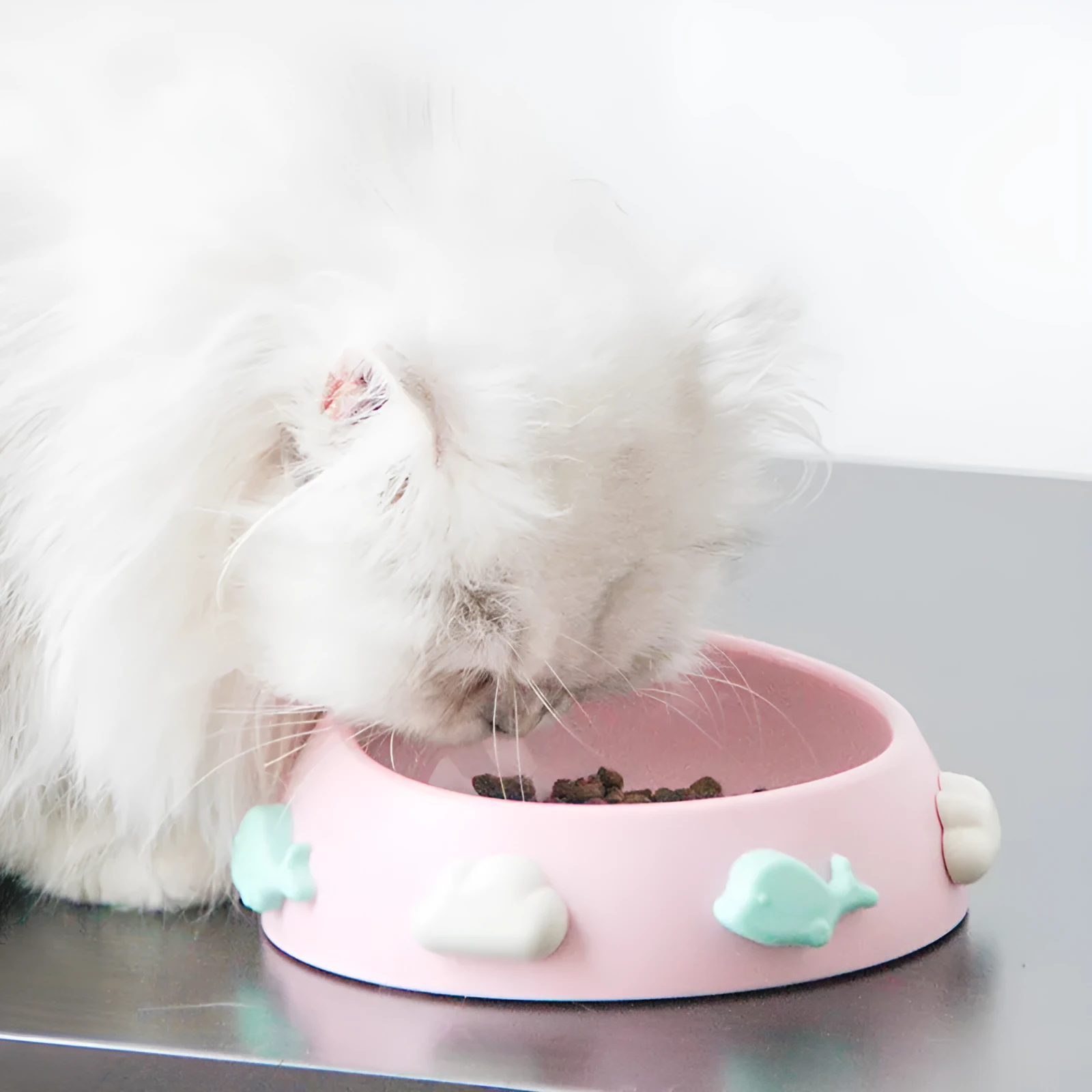 Anti-skid plastic dog bowl in blue sky and white clouds colour for non-slip feeding