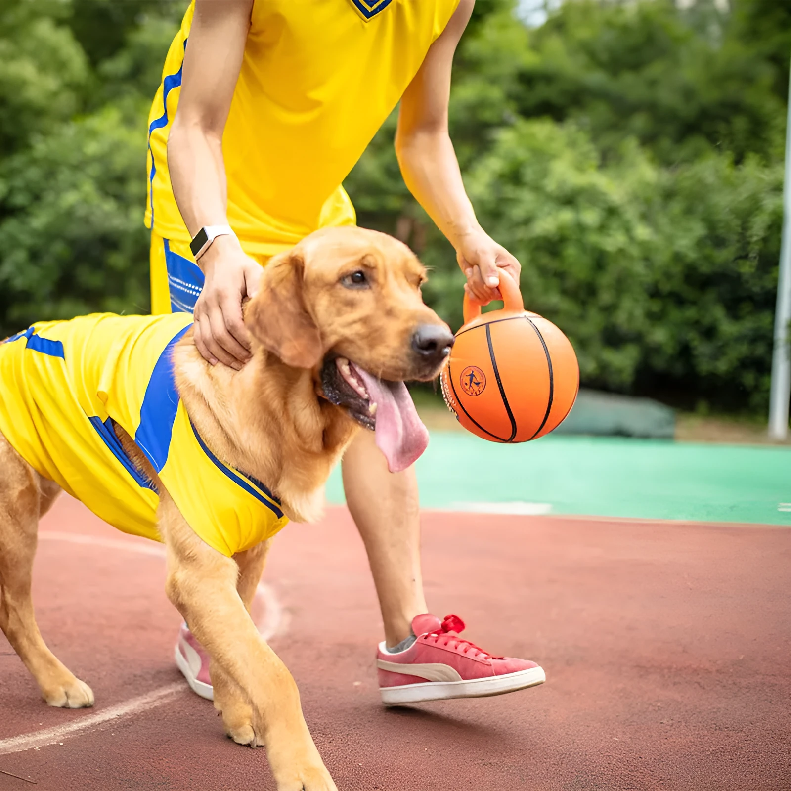 Jianbao orange red basketball style dog toy ball with rubber handle on grass