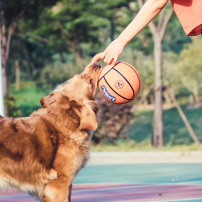 Jianbao orange red basketball style dog toy ball with rubber handle on grass