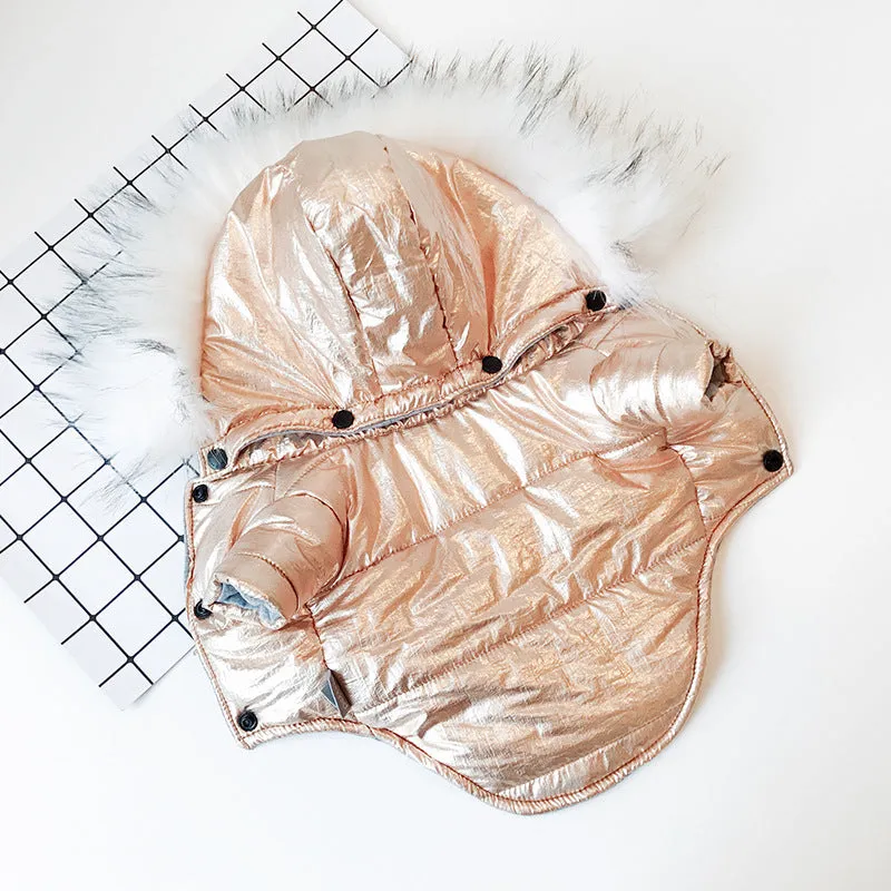 Padded winter dog coat in gold cotton, shown on a dog, size M, with neck and chest measurement details
