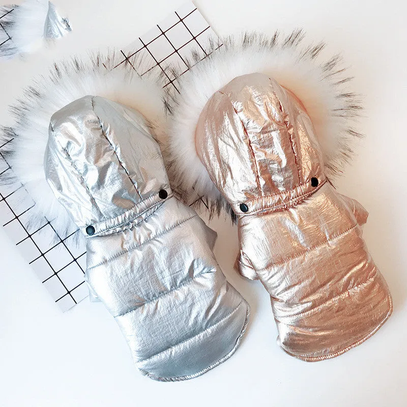 Padded winter dog coat in gold cotton, shown on a dog, size M, with neck and chest measurement details