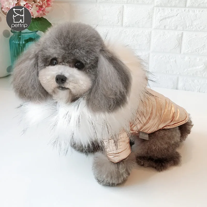 Padded winter dog coat in gold cotton, shown on a dog, size M, with neck and chest measurement details