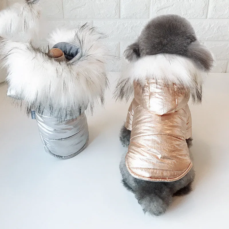 Padded winter dog coat in gold cotton, shown on a dog, size M, with neck and chest measurement details