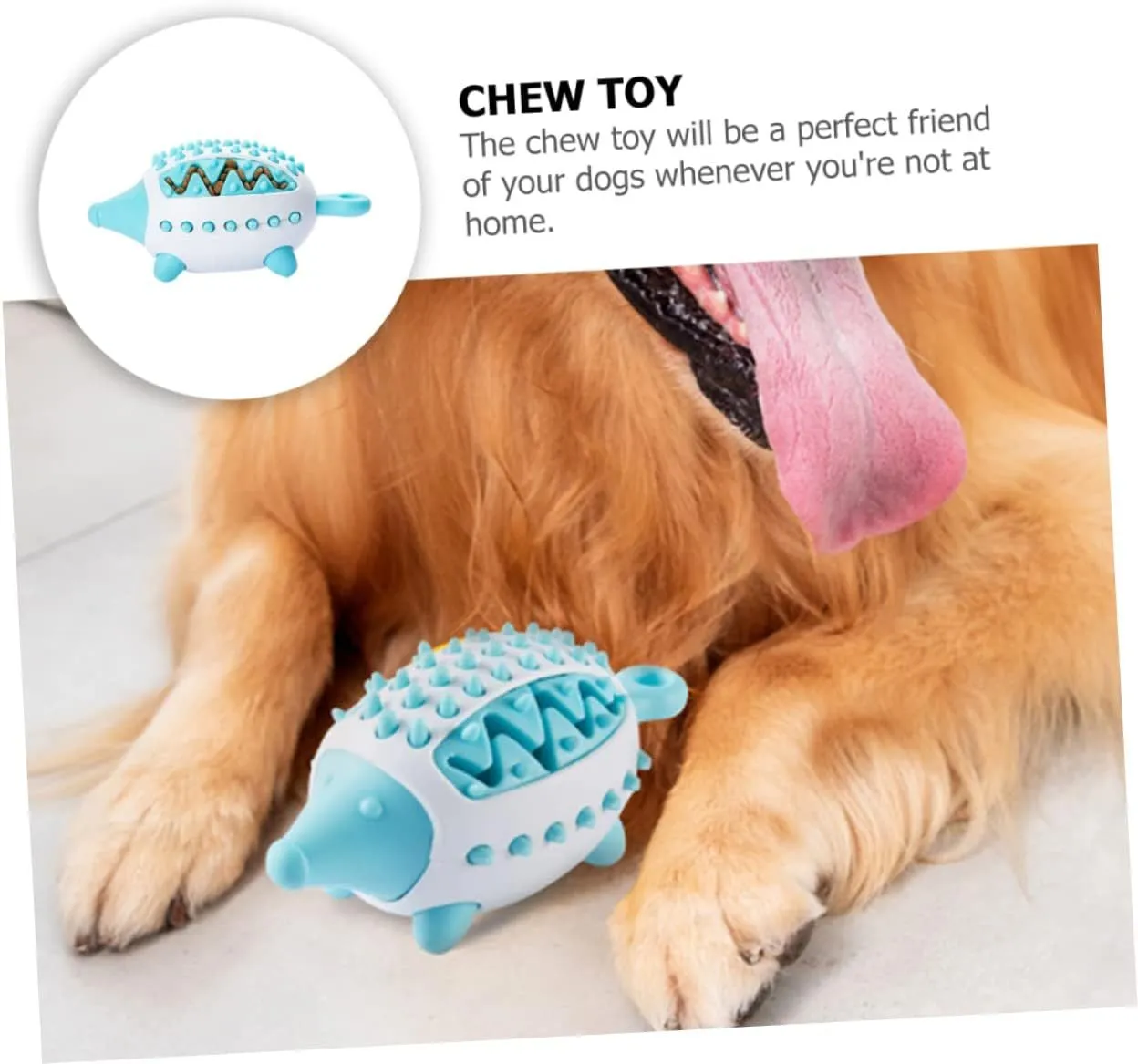 Dog toy treat dispensing squeaky ball in blue green and pink colours