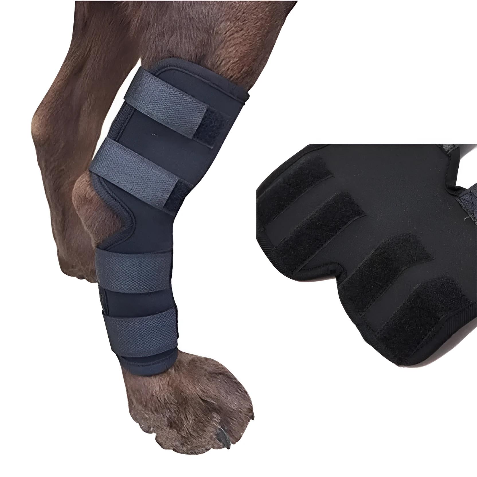Black dog leg brace neoprene wrap for small medium large dogs recovery support