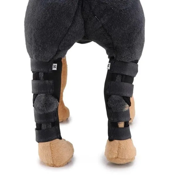 Black dog leg brace neoprene wrap for small medium large dogs recovery support