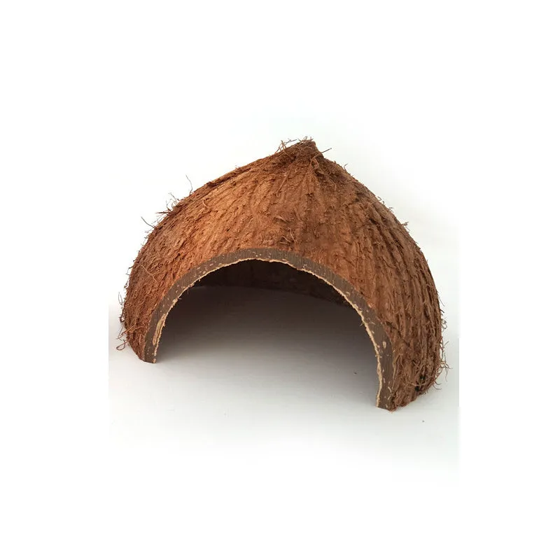 Natural coconut shell reptile hideout cave with entrance hole, placed on moss in a terrarium