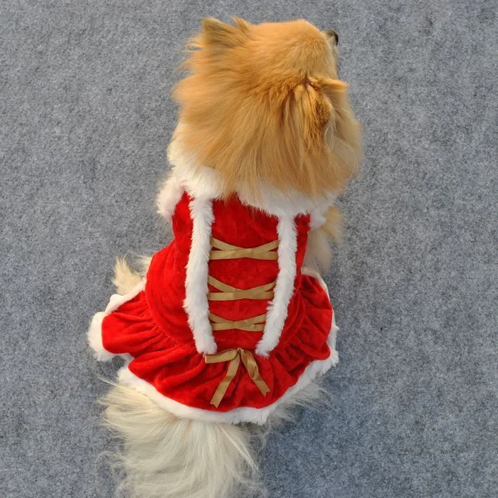Red velvet skirt for female pets in casual style on white background