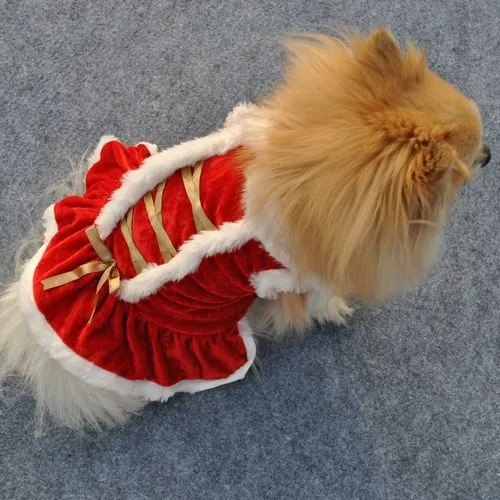 Red velvet skirt for female pets in casual style on white background