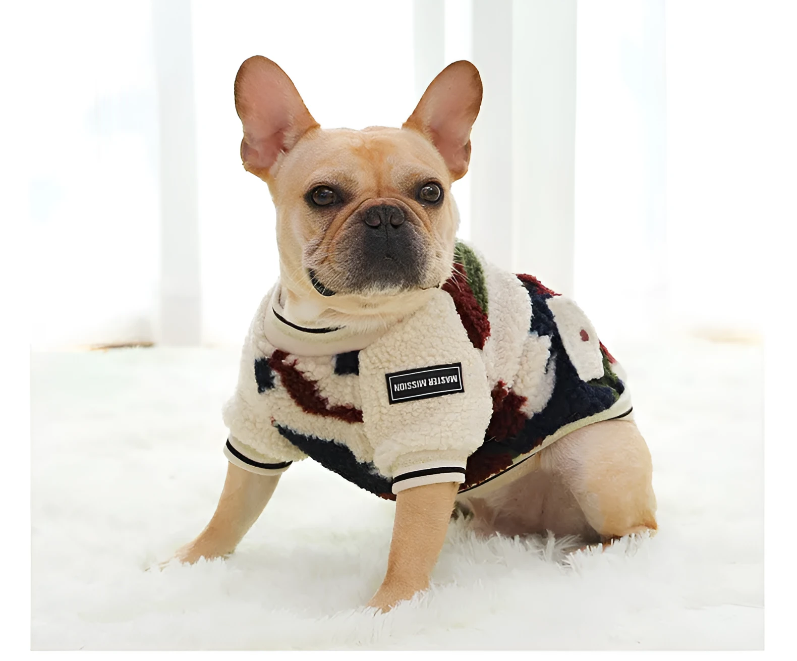 Camouflage dog hooded coat with two-legged design on a dog, showing hood and waterproof fabric