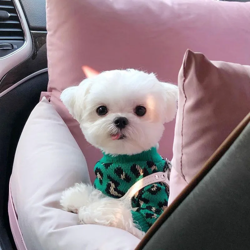 Green leopard print sleeveless knitted sweater for small dog or cat laying down