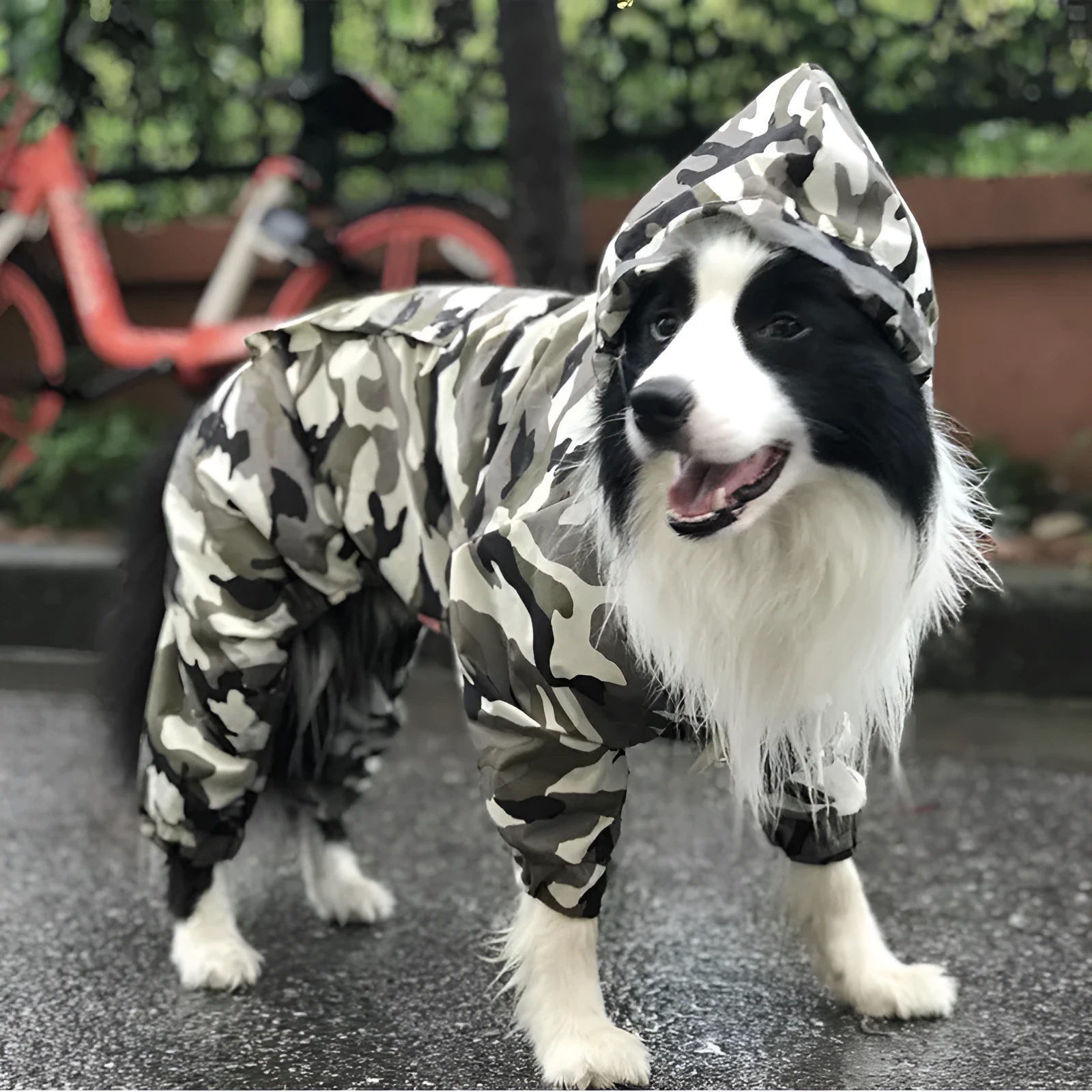 Waterproof dog raincoat in Camouflage colour for large breeds like Border Collie and German Shepherd