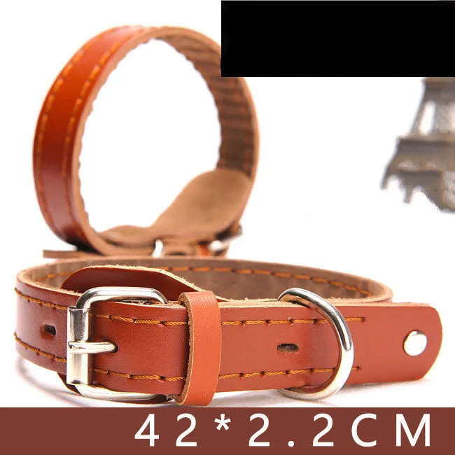 Leather dog collar in yellow cowhide finish, with metal buckle, on a solid background, size M.
