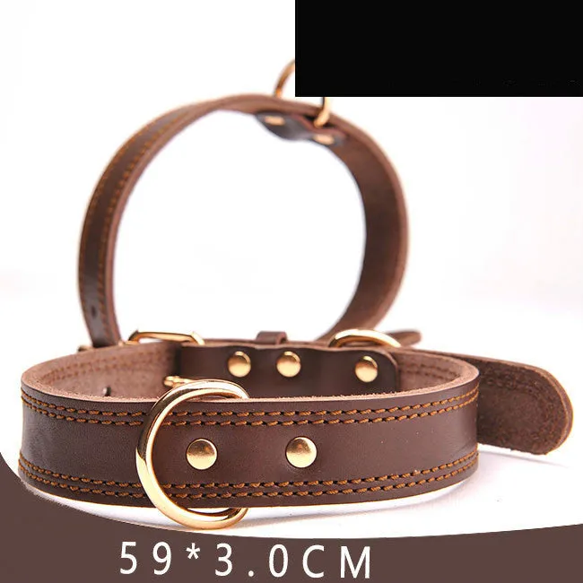 Leather dog collar in yellow cowhide finish, with metal buckle, on a solid background, size M.