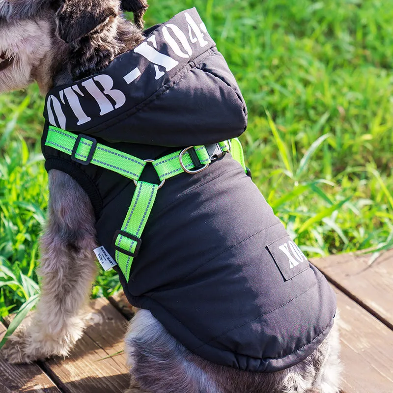 Red fleece-lined waterproof dog winter jacket with hood on medium-sized dog