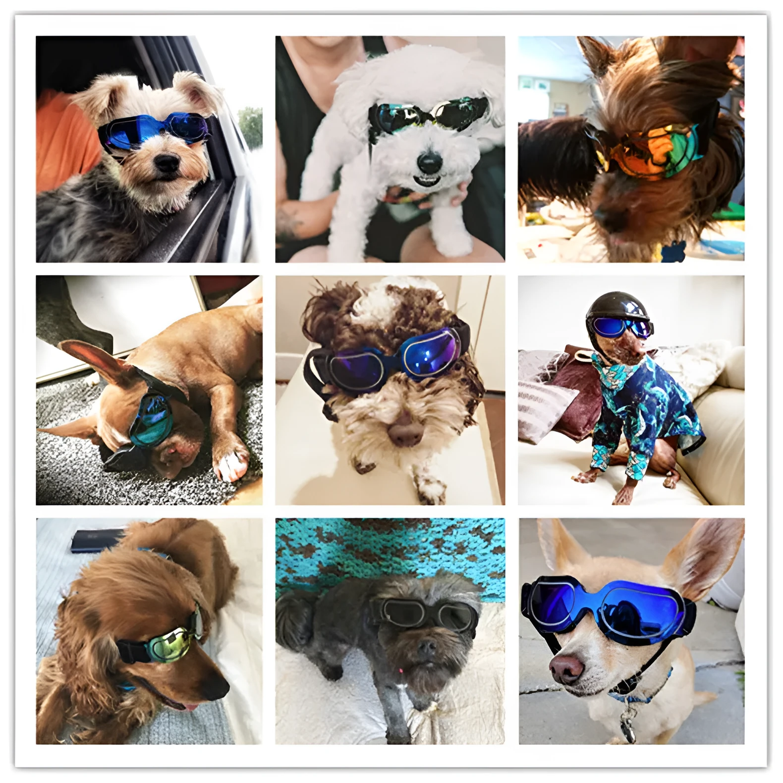 Pet dog glasses sunglasses PC frame colourful cat sunglasses in blue colour outdoor use