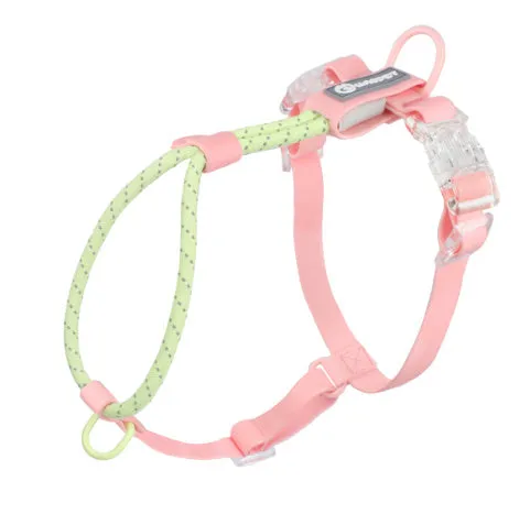 Solid colour PVC dog hand holding rope showing dark red purple yellow and taoyao green colour options