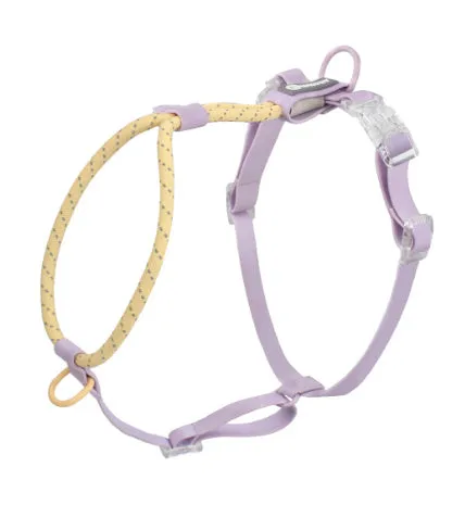 Solid colour PVC dog hand holding rope showing dark red purple yellow and taoyao green colour options