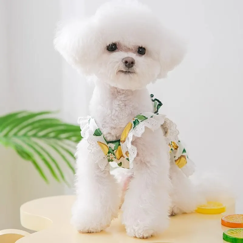 Rock yellow lemon coloured dog dress with thin straps and a skirt in a princess style.