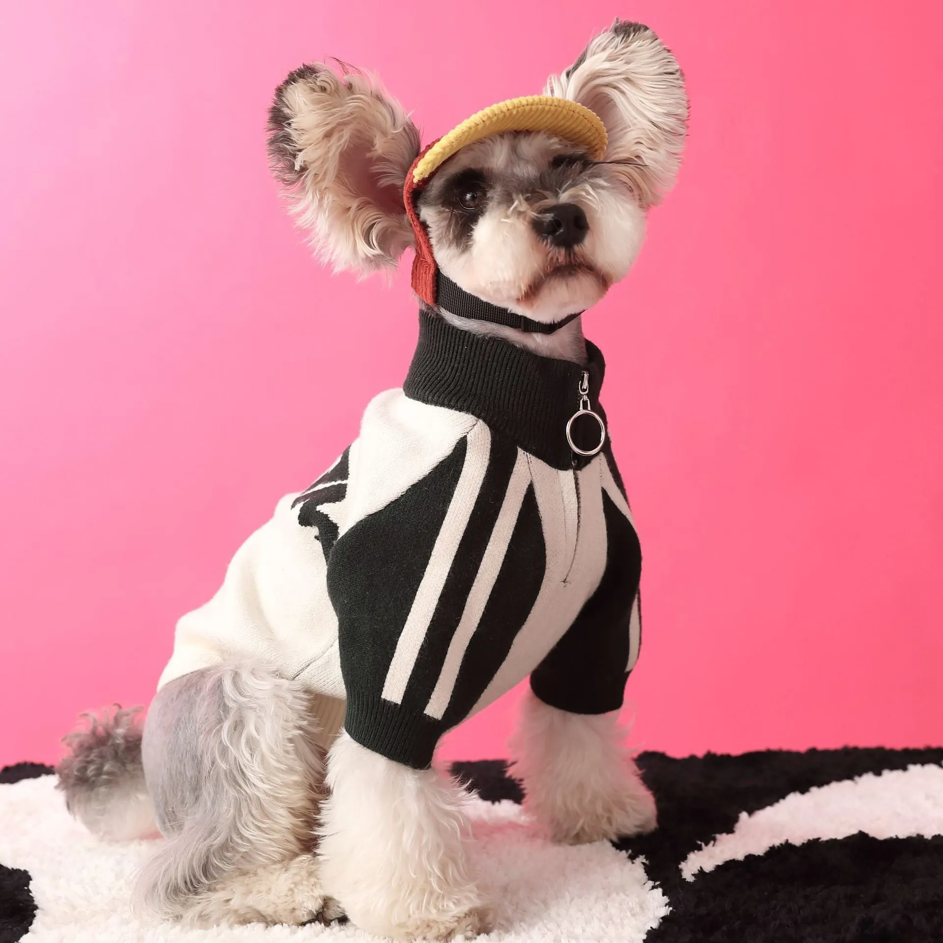 Red wool sports cardigan for puppy dog on size mannequin showing casual knit style