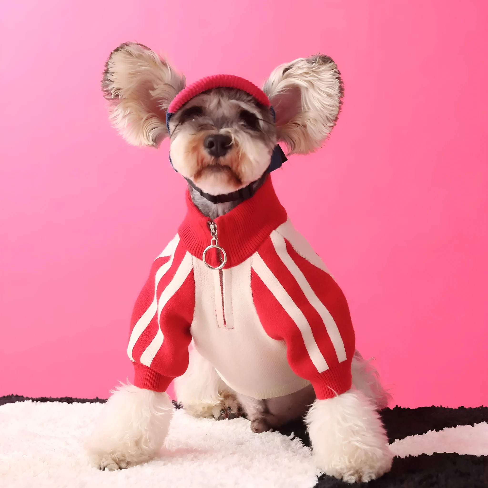 Red wool sports cardigan for puppy dog on size mannequin showing casual knit style