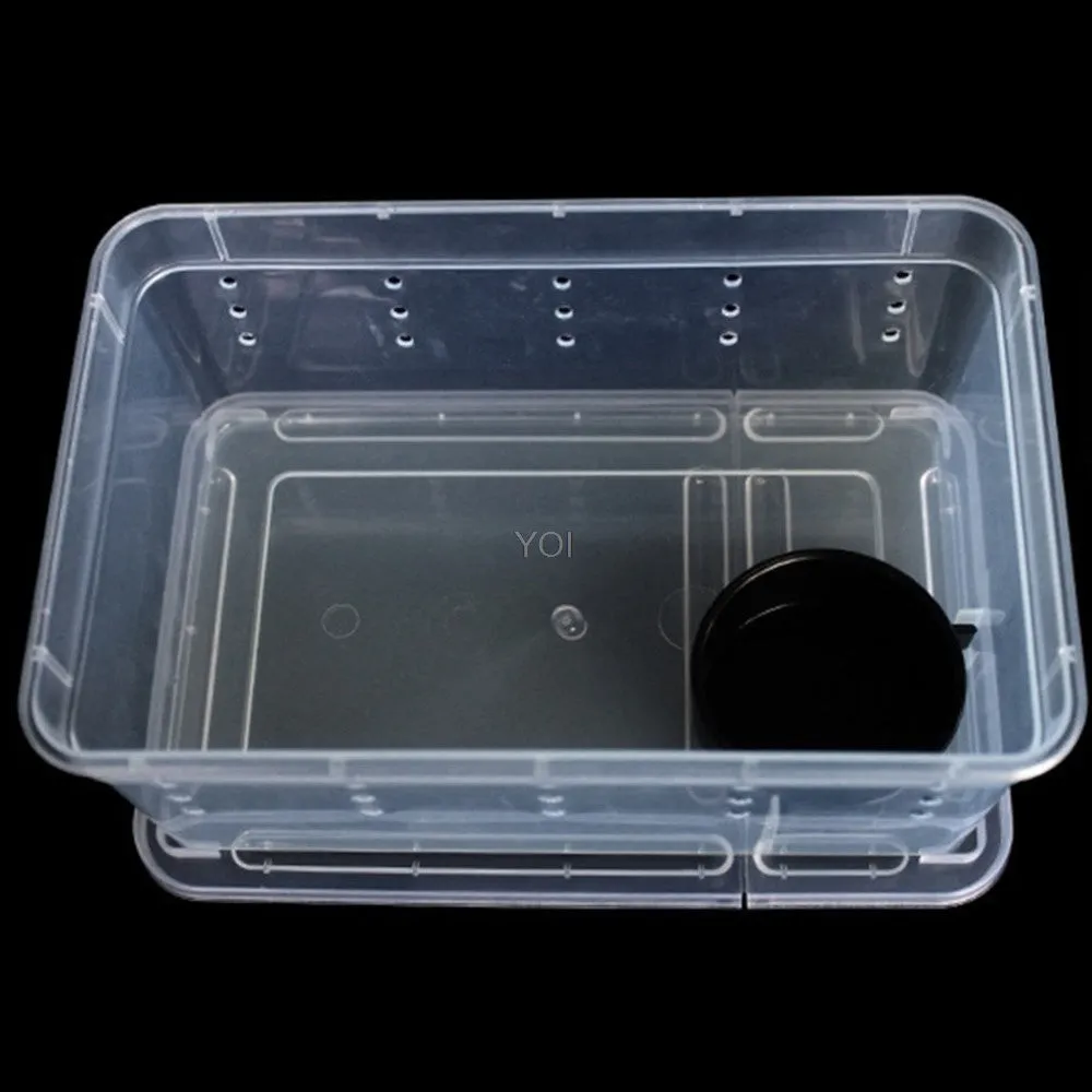 Plastic transparent reptile feeding box 19x12.5x7.5cm on a white background