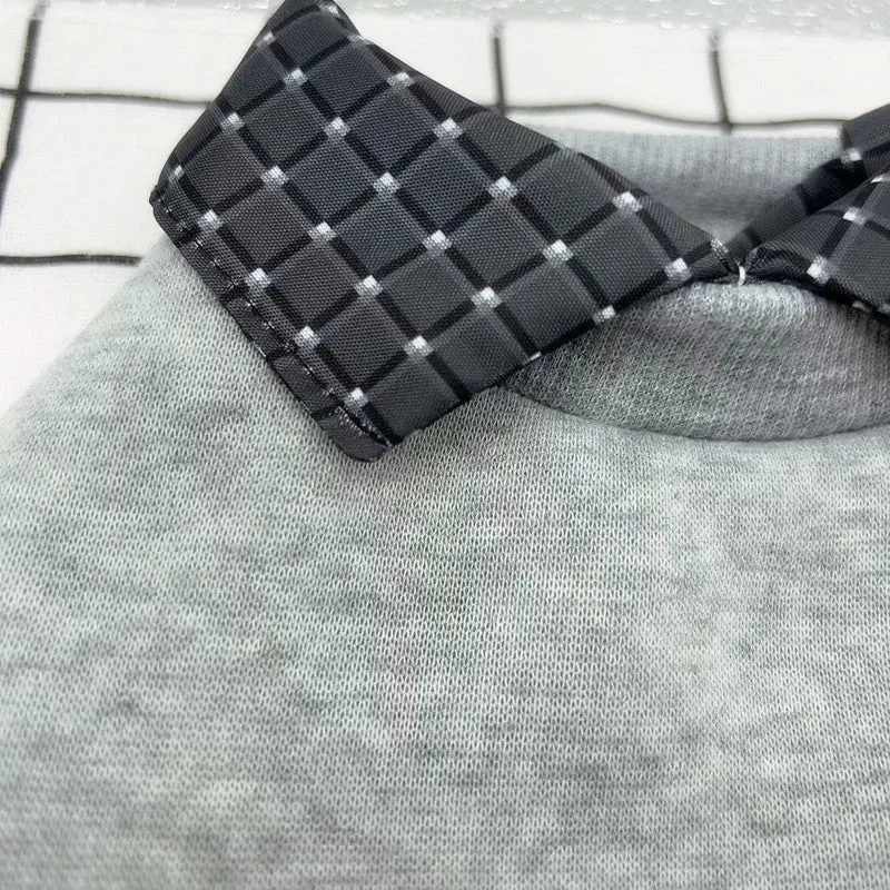 Two-piece grey dog sweater with detachable collar hoodie on canine model showing adjustable design