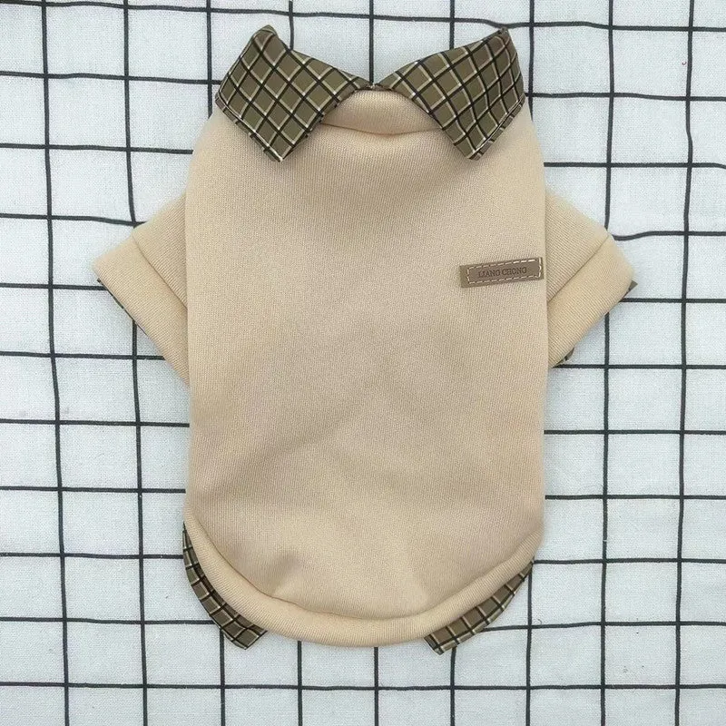 Two-piece grey dog sweater with detachable collar hoodie on canine model showing adjustable design