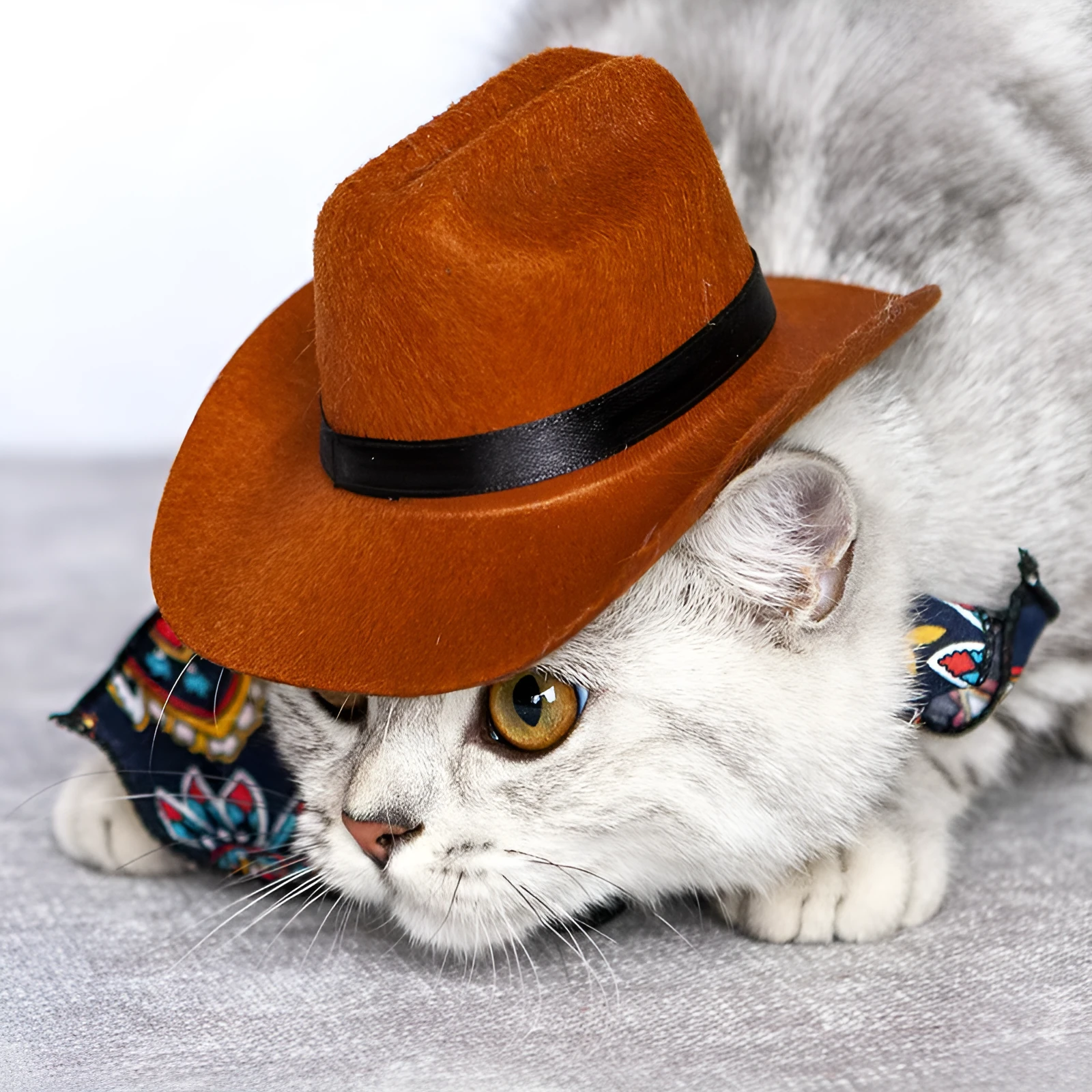 Pet cat western straw cowboy hat in brown, non-woven fabric, three sizes available