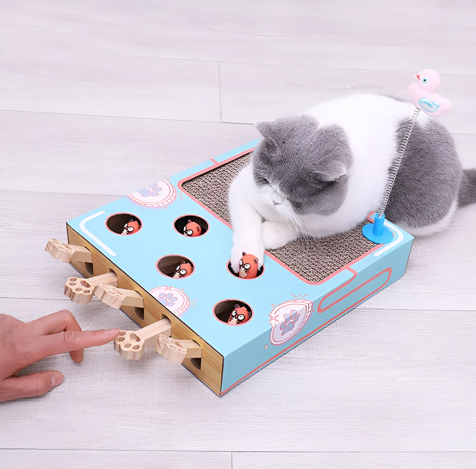 Blue cat toy teaser whack-a-mole game on floor, 36x26x6cm, cardboard and wood construction.