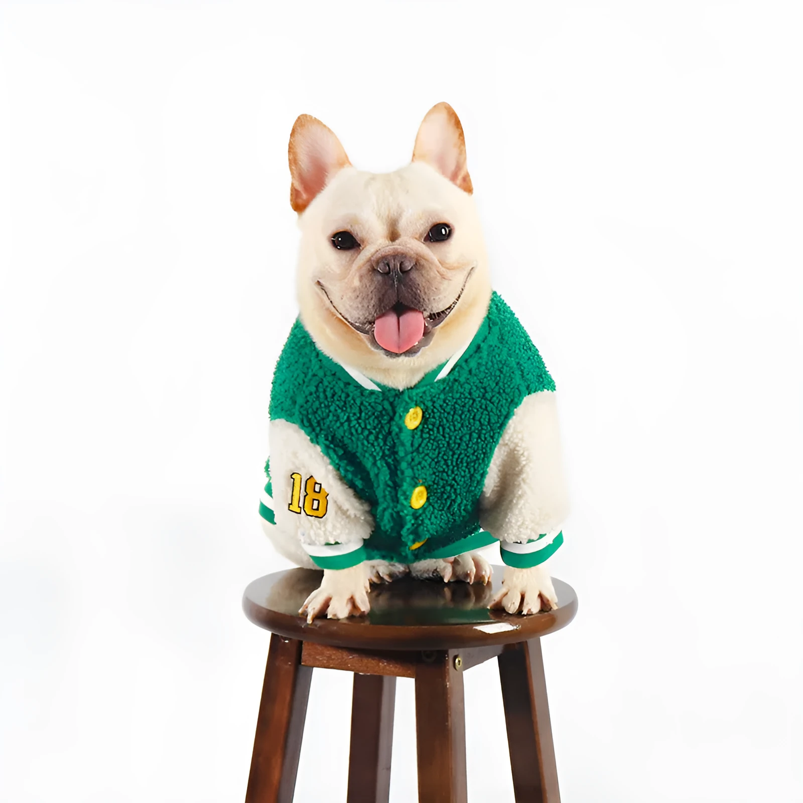 Green cotton dog winter coat with fleece lining for large breeds sizes L to 4XL