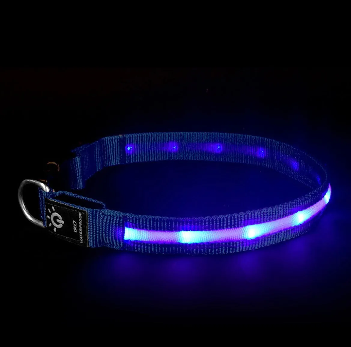 LED pet collar waterproof IPX7 USB rechargeable with red dual fibre light on a dog