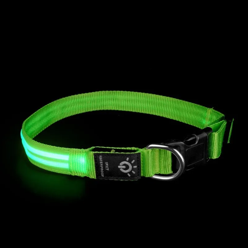LED pet collar waterproof IPX7 USB rechargeable with red dual fibre light on a dog