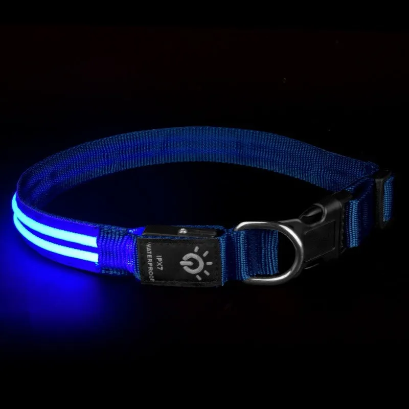 LED pet collar waterproof IPX7 USB rechargeable with red dual fibre light on a dog