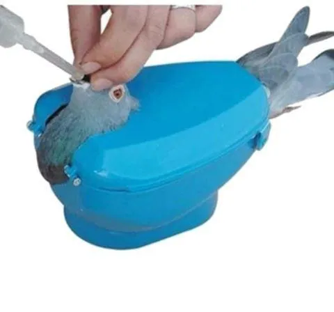Light blue plastic racing pigeon holder with fixed frame rack on white background