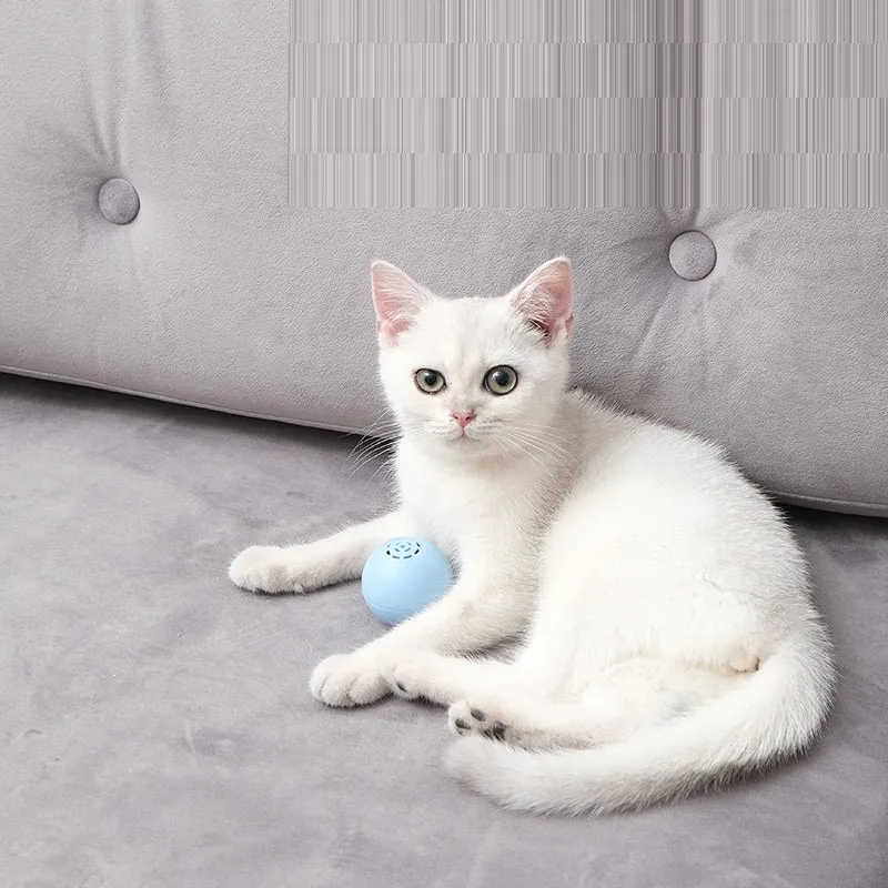 Self-hi pussy cat music ball with sounds and biteable texture in blue, green, and pink 46 mm