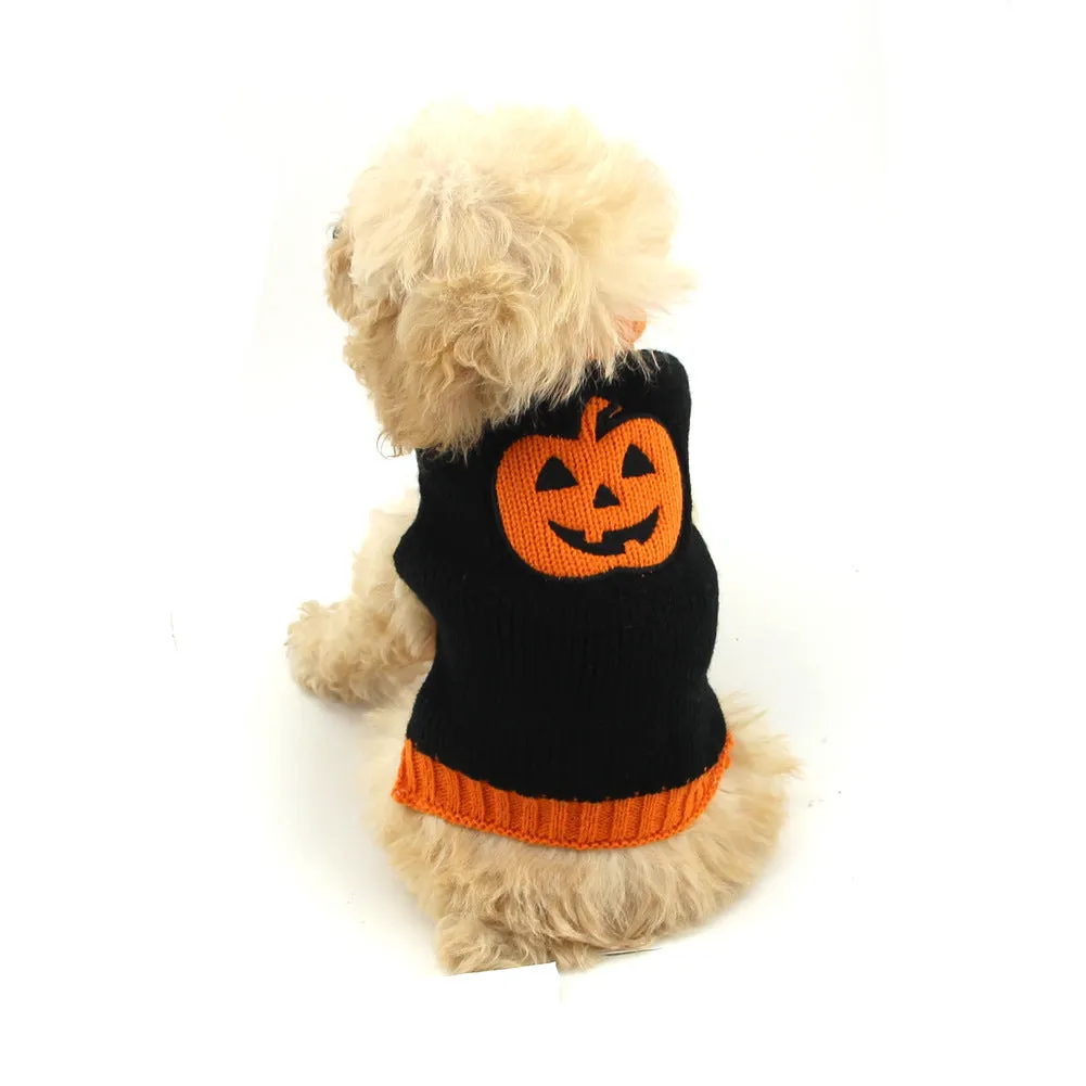 Dog wearing a knitted pumpkin sweater in orange black pumpkin colour, standing on a wooden floor