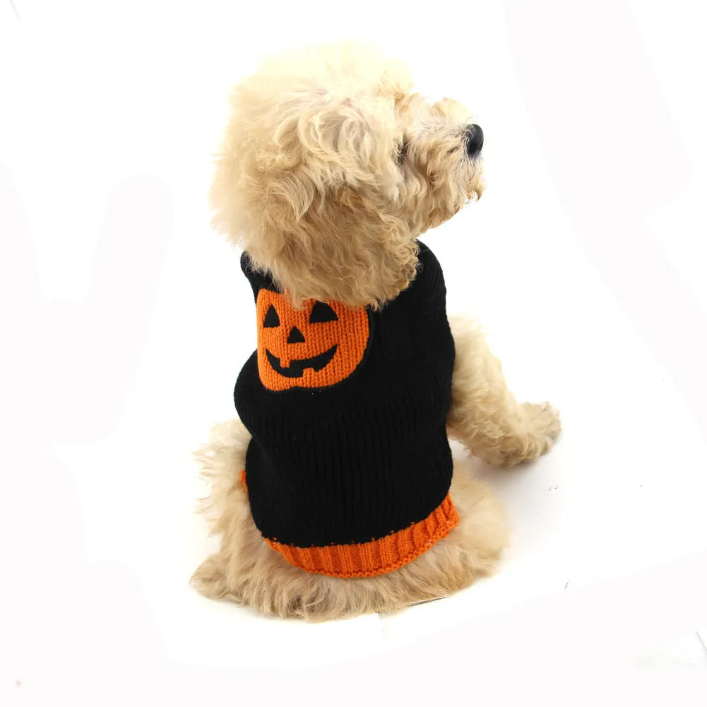 Dog wearing a knitted pumpkin sweater in orange black pumpkin colour, standing on a wooden floor