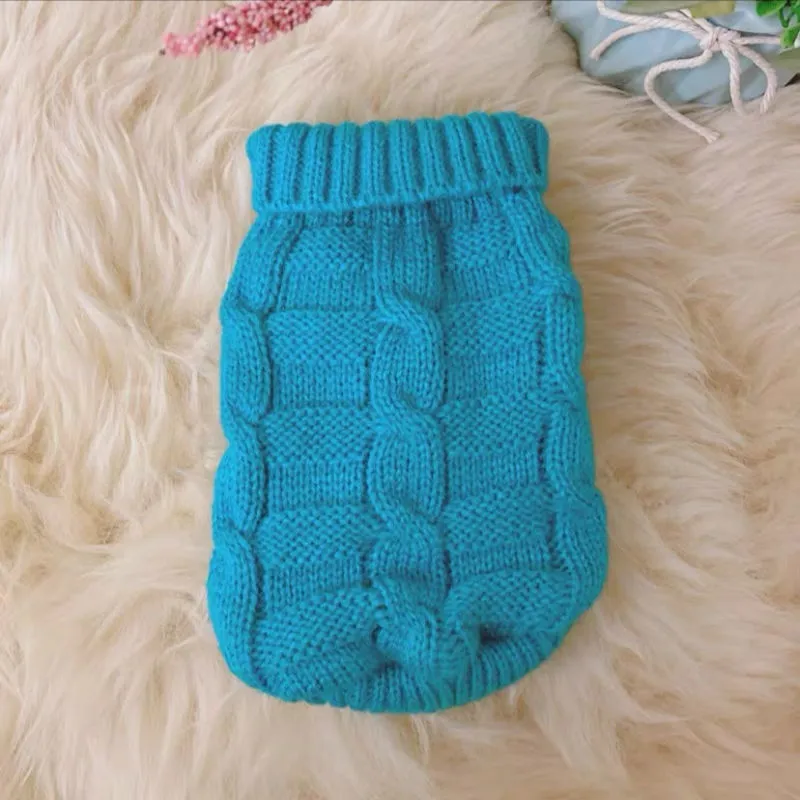Cat wearing a knitted sweater in a bright colour, showing the pullover style for autumn winter pet clothing