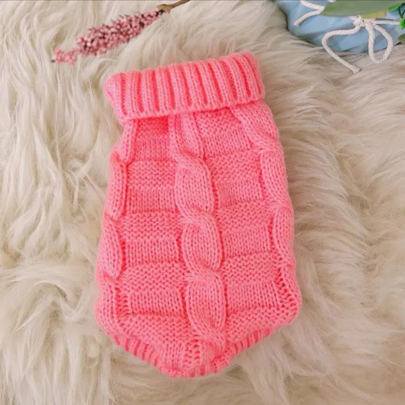 Cat wearing a knitted sweater in a bright colour, showing the pullover style for autumn winter pet clothing