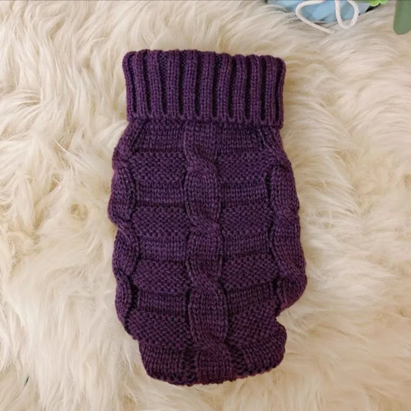 Cat wearing a knitted sweater in a bright colour, showing the pullover style for autumn winter pet clothing
