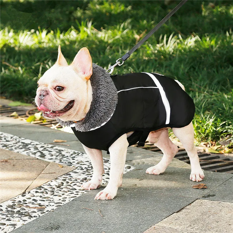 Thick warm dog vest in black waterproof nylon with reflective strips