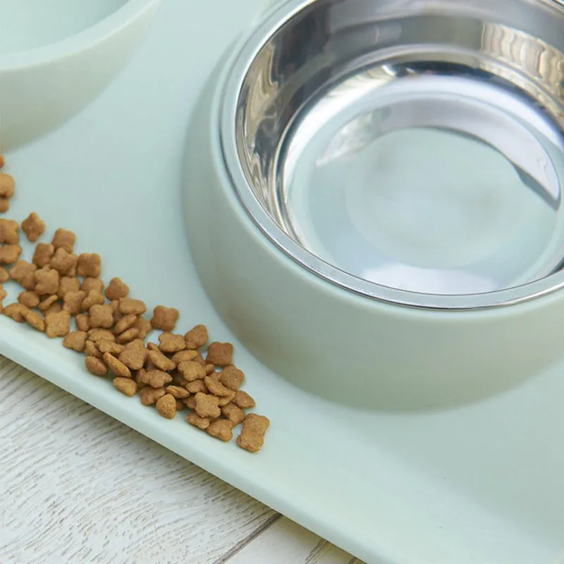 Stainless steel pet double bowl with green PP base and metal inner bowl on floor