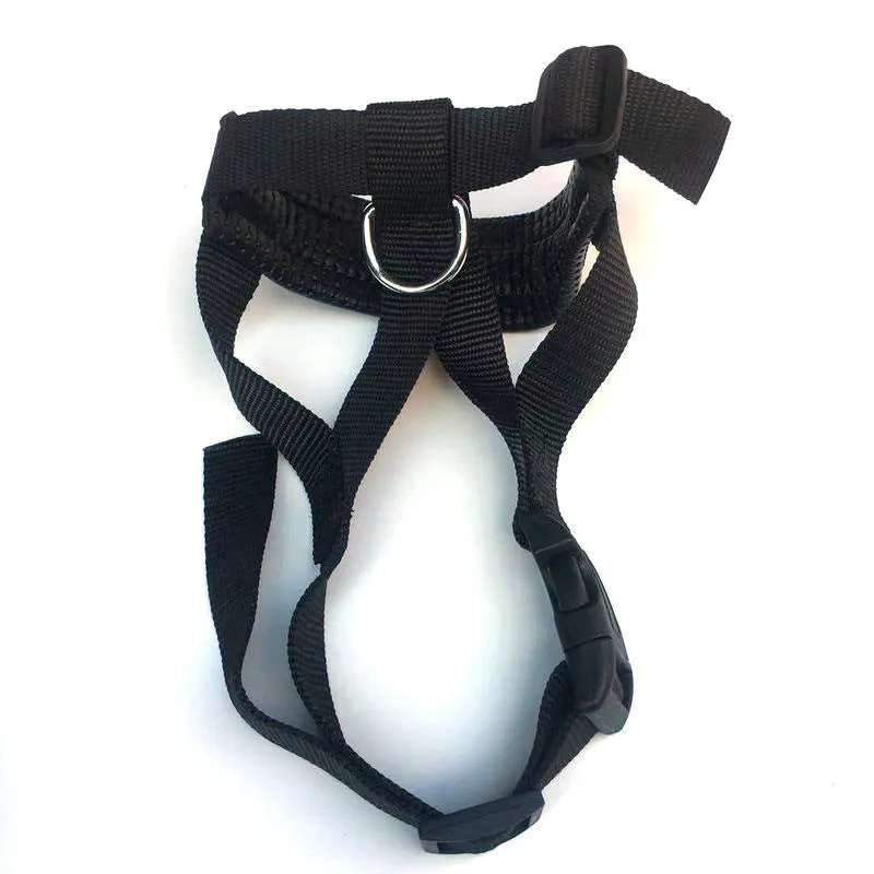 Nylon dog mouth cover with leather trim in black, showing adjustable buckle and breathable holes