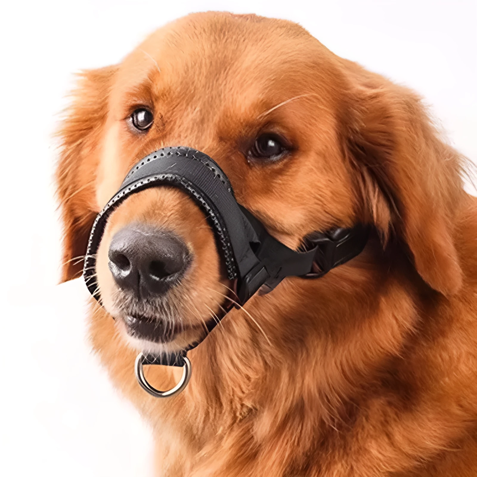Nylon dog mouth cover with leather trim in black, showing adjustable buckle and breathable holes