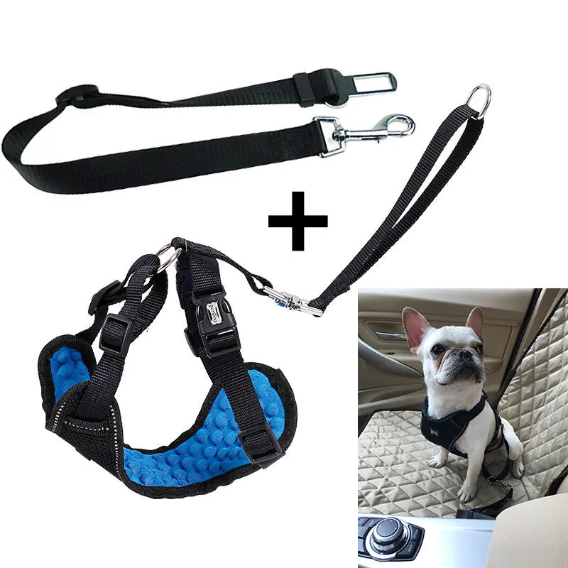 Mesh bumps pet car seat belt chest strap in black and blue for dogs and cats sizes S M L XL
